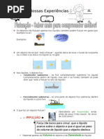 Flutuação - Fundamentação Teórica - 1º Ciclo