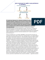 Cuadro Comparativo Vertebras