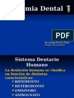 ANATOMIA DENTAL1.pps