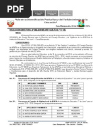 Resoluciones Directoral Apafa 2015