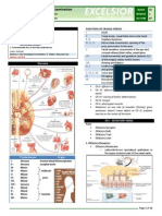 B16M01L07 - Cranial Nerves Examination