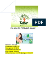 STP Analysis For Dabur Bleach