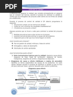 Gestion de La Calidad Pmi