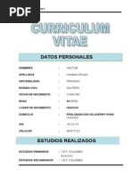 Curriculum 2014dd