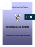 Taxonomia de La Abeja Melifera