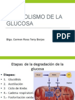 Catabolismo de Glucosa