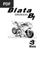 Blata Origami Manual