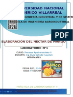 Elaboración Del Néctar de Mango