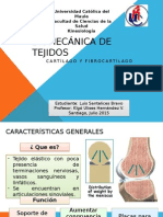 Biomecanica Del Cartilago y Fibrocartilago