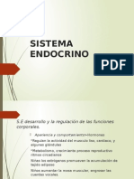 Sistema Endocrino