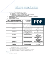 Procesos Fermentativos en El Estomago de Rumiantes