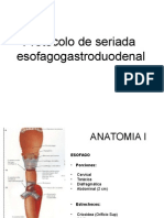 Protocolo de Seriada