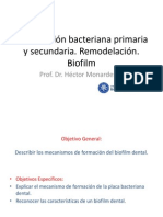 Clase 5. - Colonizacion Bacteriana Primaria y Secundaria. Biofilm