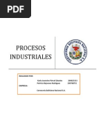 Trabajo Practico Procesos Industriales