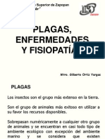 Plagas, Enfermedades y Fisiopatias