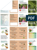 Moringa Brochure 2up A4