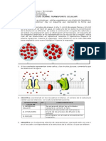 Ejercicios Sobre Transporte Celular Iii Medios