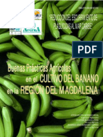 Buenas Practicas Agricolas PDF