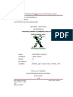 Laporan 2 Analisis Kualitatif Kation