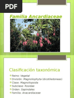 Ancardiaceae Modificado