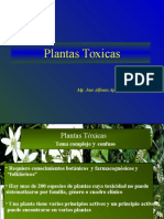 Plantas Toxicas 