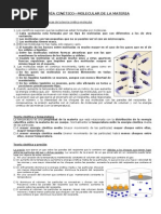 Leyes de Los Gases y Modelo Cinético Molecular