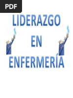 Liderazgo en Enfermeria 