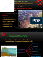 CAPITULO II Petrologia, Ambientes y Tecto