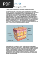 Anatomía y Fisiología de La Piel