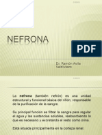 9 Nefrona