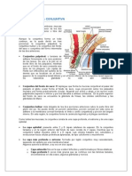 Oftalmología Conjuntiva Ocular