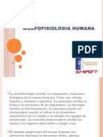 Morfofisiologia Humana