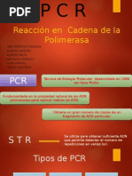 Técnica de PCR