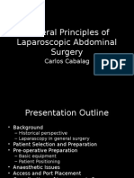 General Principles of Laparoscopic Abdominal Surgery Pp2003