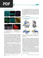 Reading Rnas in The Cell: From Lee, J. H., Et Al., Science, 2014, 343, 1360. Reprinted With Permission From AAAS