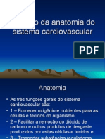 Revisão Anatômica