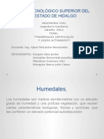 Humedales y Lodos Activados