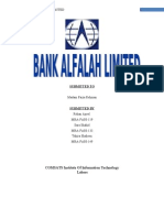 Bank Alfalah Limited Project, Business Plan