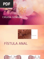 Fistulas Anales