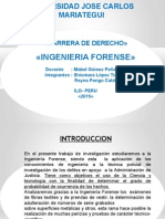 Exposicion Ingenieria Forense