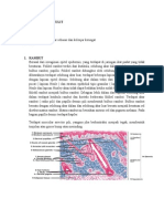 Histologi Adnexa Kulit