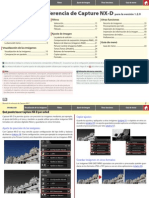 Manual Nikon Capture NX-D
