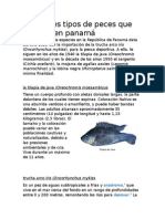 Diferentes Tipos de Peces Que Se Crían en Panamá