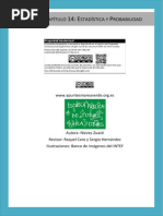 14 - Estadistica y Probabilidad