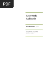 Apuntes Anatomía