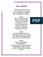 Adio Grădiniță! PDF