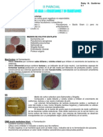 Pruebas Bioquimicas