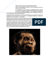 Homo Naledi