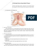 Anatomi Dan Fisiologi Sistem Reproduksi Wanita