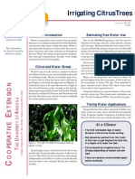 Irrigating Citrus Trees